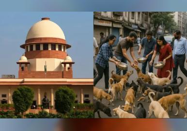 നായപ്രേമികള്‍ക്കായി കുട്ടികളെ ബലിയര്‍പ്പിക്കാൻ കഴിയില്ല'; തലസ്ഥാനത്തെ മുഴുവന്‍ തെരുവ് നായ്ക്കളെയും ഷെല്‍ട്ടര്‍ ഹോമിലേക്ക് മാറ്റണമെന്ന് സുപ്രീം കോടതി