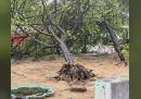 ചാലക്കുടിയില്‍ മിന്നല്‍ ചുഴലി; വ്യാപക നാശനഷ്ടം, മേല്‍ക്കൂരകള്‍ പറന്നുപോയി 