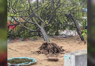 ചാലക്കുടിയില്‍ മിന്നല്‍ ചുഴലി; വ്യാപക നാശനഷ്ടം, മേല്‍ക്കൂരകള്‍ പറന്നുപോയി