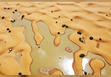 ലോകത്തിലെ ഏറ്റവും വരണ്ട മരുഭൂമികൾ വെള്ളപ്പൊക്കത്തിൽ മുങ്ങി , അത്ഭുതത്തോടെ ശാസ്ത്രലോകം.  